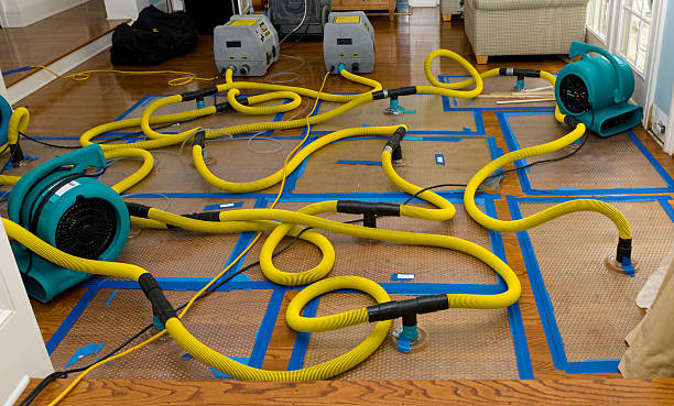 Professional Basement Flood Cleanup technician working in Butler, TN
